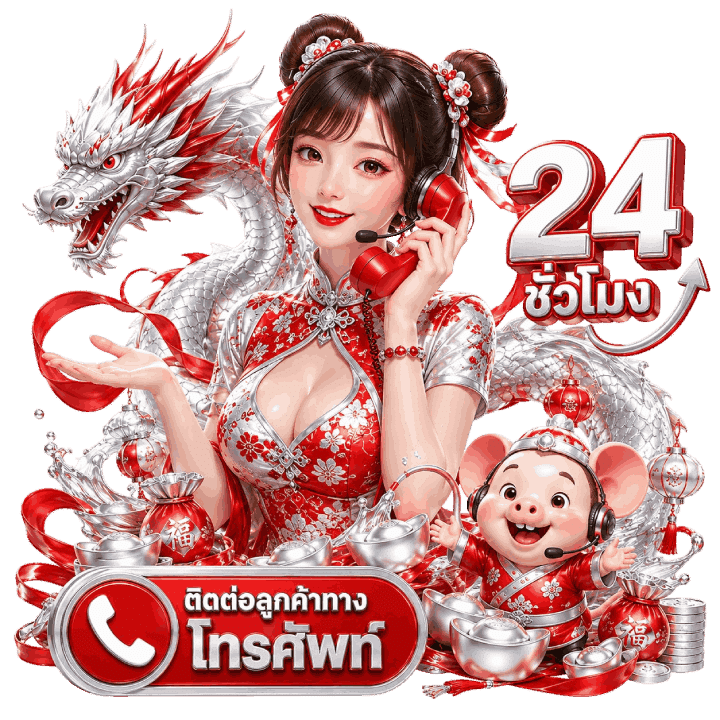 วิธีใช้งานช่องทาง dmn789